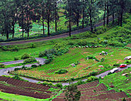 Eworldtrips Ooty package , Mysore holiday package , south india tour , ooty holidays | Eworld Trips | Destinations | ...