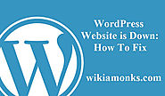 WordPress Website is Down: How To Fix