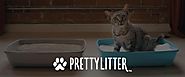 PrettyLitter™ - Health Monitoring Cat Litter - Delivered Monthly