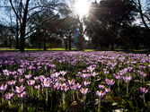 London's Magnificent Gardens