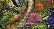 20 Photographs Of The World's Most Famous Gardens