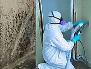 Mould Damage Removal in Melbourne | Capital Restoration Cleaning