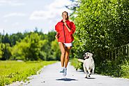 8 Safety Tips For Working Out With Your Dog -Ejournalz