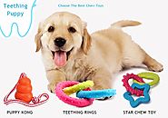 The Best Toys For Puppies