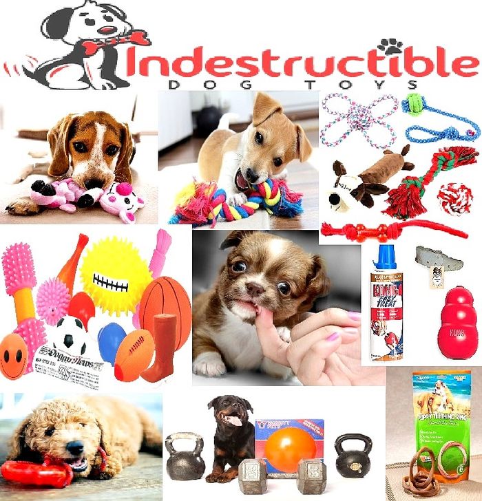 All you know about Indestructible Dog Toys in 2018 A Listly List
