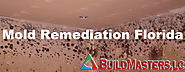 Basic Steps for Proper Mold Remediation In Florida - Build Masters, LC