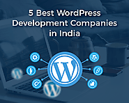 5 Best WordPress Development Companies in India