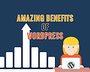 Amazing Benefits of WordPress Open Source Technology In Web Development