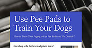 How to train your puppy to use pee pads and go outside?