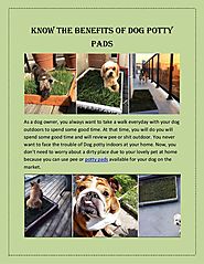 Know the Benefits of Dog Potty Pads