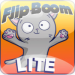 Flipboom Lite FREE for iPad