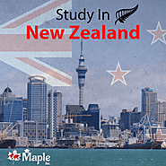 Study in New Zealand - Maple Inc
