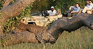 Kruger Park Travel: Kruger National Park History