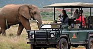 South Africa Safari Holidays – Kruger Park Travel – Medium