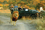 South Kruger Recreation area - The Actual Africa | Posts by krugerparktravel | Bloglovin’