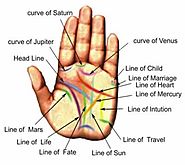 Palmistry Consultancy