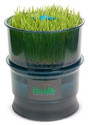 Tribest FreshLife Sprouter - Automatic Wheatgrass and Sprouter System