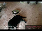 Robomaid RM-770 Robot Vacuum Cleaner Pet Hair Video