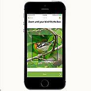 Applications pour smartphones pour l’identification des oiseaux | Ornithomedia.com