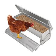Automatic Chicken Feeder by Youzee