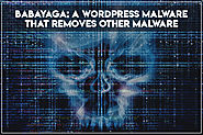BabaYaga: Malware That Removes Its Competition