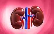 Kidney Transplants: Procedure, Risks and costs