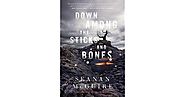 Down Among the Sticks and Bones by Seanan McGuire (Best Novella)
