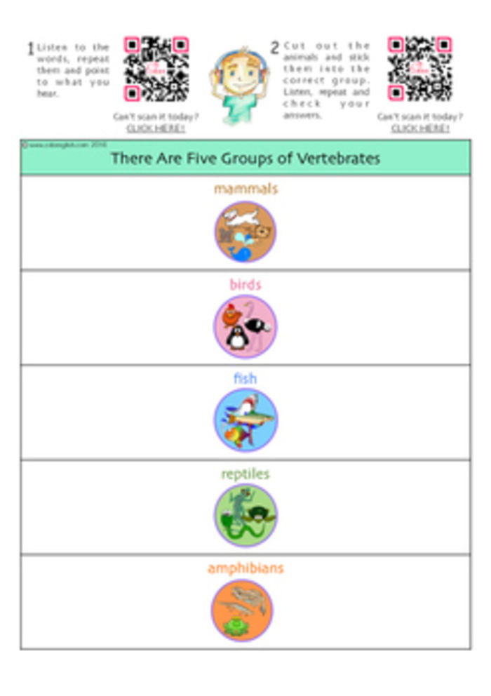 recursos-aicle-vertebrate-animals-2-primaria-a-listly-list