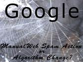 Google Manual Web Spam Action or Algorithm Change?