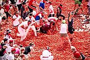 1.5 lakh tomatoes are quashed during the festival