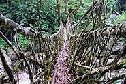 Ritymmen Root Bridge