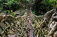 Umshiang Root Bridge