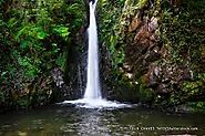 SingSing Waterfalls, Lovina