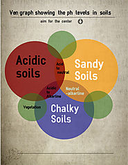 6 simple guides to follow – to understanding your soil | IDogardening4U