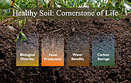 The ABC of Soil Science