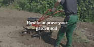 How to Improve your garden soil