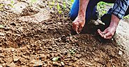 19 Ways to Improve Garden Soil and Boost the Yield Year After Year