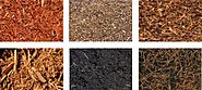 Whats the best soil conditioner for your garden