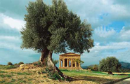Valley of the Temples, Agrigento. A visitor's guide