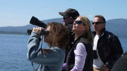 SeaWorld Documentary, Blackfish, Movie About Captive Orcas | Global Animal