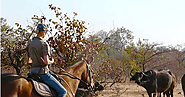 Enjoy Chobe Full Day Safari to National Park