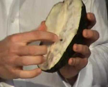 Guanabana (Soursop) in...NYC?