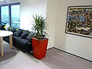 Office Plants for Hire and its Cost and Advantages