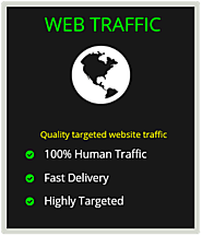 Buy Website Traffic | Targeted Visitors | Web Traffic