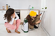 Fear of termite and pest!!!! We provide the 100% solution using natural components for the Ghaziabad – Pest Control G...
