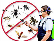Pest Control Ghaziabad