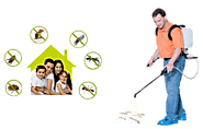 We give solutions for termite problems in the South Delhi – pest control south delhi