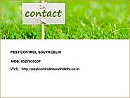 Offering Most Viable Pest Control Services in South Delhi
