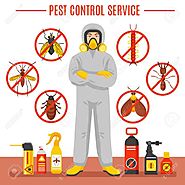 Pest Control East Delhi | Termite Control Company in East Delhi