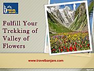 Fulfill Your Trekking of Valley of Flowers